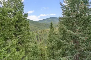 32438 Little Cub Rd, Evergreen, CO 80439 - Photo 38