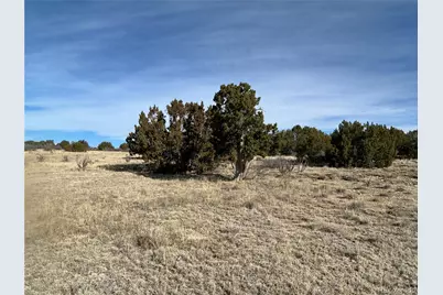 Lot 122 Ghost River Ranch, Rye, CO 81069 - Photo 12