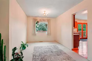 228 Berthoud Way, Golden, CO 80401 - Photo 6