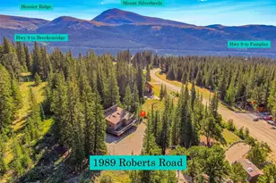 1989 Roberts Rd, Alma, CO 80420 - Photo 2