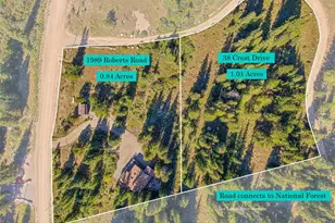1989 Roberts Rd, Alma, CO 80420 - Photo 4