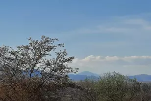 3375 Garland St, Wheat Ridge, CO 80033 - Photo 18