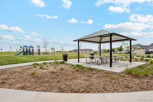 2175 Alyssa St, Fort Lupton, CO 80621 - Photo 24