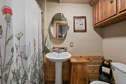 138 Fawn Drive, Bailey, CO 80421 - Photo 30