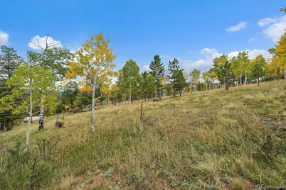 138 Fawn Drive, Bailey, CO 80421 - Photo 46