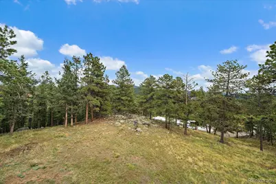 138 Fawn Drive, Bailey, CO 80421 - Photo 38