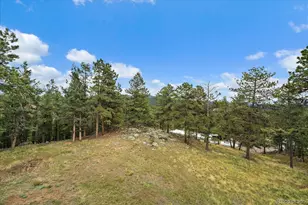 138 Fawn Dr, Bailey, CO 80421 - Photo 38
