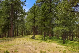 9610 S Perry Park Rd, Larkspur, CO 80118 - Photo 42