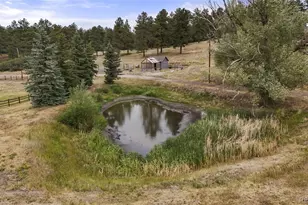 9610 S Perry Park Rd, Larkspur, CO 80118 - Photo 38