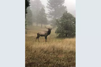 1715 Foothills Drive, Golden, CO 80401 - Photo 40