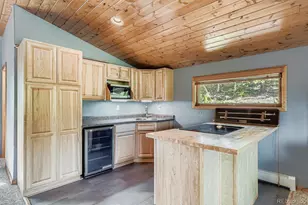 1288 Royal Ridge Dr, Bailey, CO 80421 - Photo 38