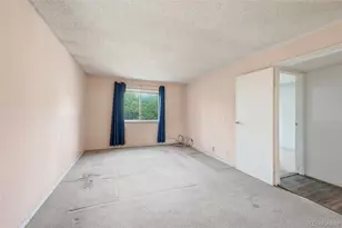 907 S Yampa St, Aurora, CO 80017 - Photo 22