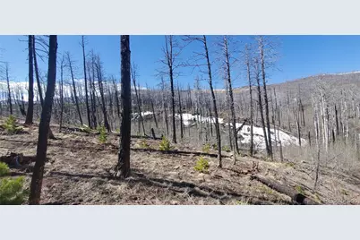 Lot's 854,855 Slaoui Place, Fort Garland, CO 81133 - Photo 1