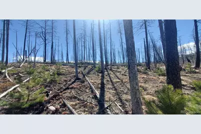 Lot's 854,855 Slaoui Place, Fort Garland, CO 81133 - Photo 2