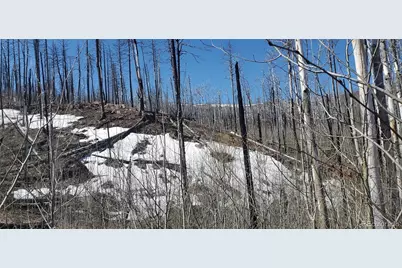 Lot's 854,855 Slaoui Place, Fort Garland, CO 81133 - Photo 6