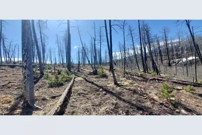 Lot's 854,855 Slaoui Place, Fort Garland, CO 81133 - Photo 4