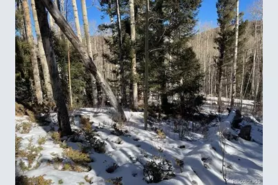 Lot 5252 Scott Road, Fort Garland, CO 81133 - Photo 22