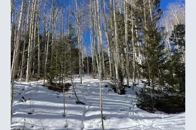 Lot 5252 Scott Road, Fort Garland, CO 81133 - Photo 12