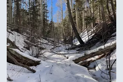 Lot 5252 Scott Road, Fort Garland, CO 81133 - Photo 30