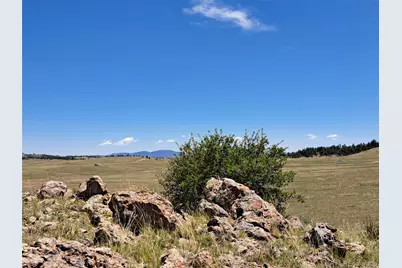 6630 Atoka Road, Hartsel, CO 80449 - Photo 2