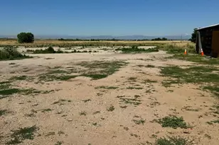 12441 Tower Rd, Commerce City, CO 80022 - Photo 28