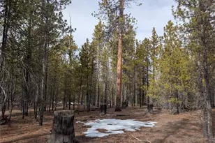 179 Cedar Dr, Twin Lakes, CO 80461 - Photo 1