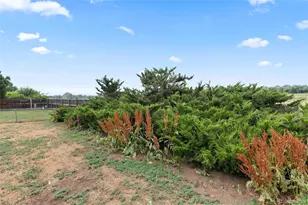 9022 W Washburn Pl, Lakewood, CO 80227 - Photo 32