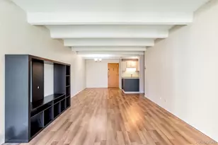 4801 E 9th Ave, Denver, CO 80220 - Photo 6