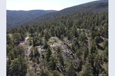 591599 Soul Shine Road, Drake, CO 80515 - Photo 18