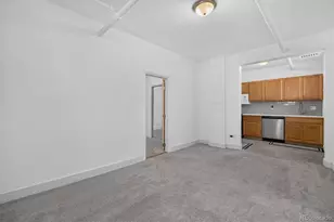 1376 N Pearl St, Denver, CO 80203 - Photo 12