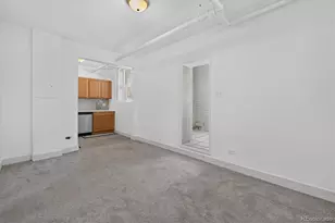 1376 N Pearl St, Denver, CO 80203 - Photo 14