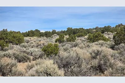 Lot 1075 Sylvia Road, Fort Garland, CO 81133 - Photo 8