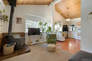 4932 Little Cub Creek Rd, Evergreen, CO 80439 - Photo 8
