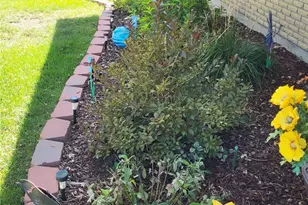 1375 S Newport St, Denver, CO 80224 - Photo 4