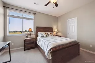 724 Imboden Rd, Watkins, CO 80137 - Photo 28
