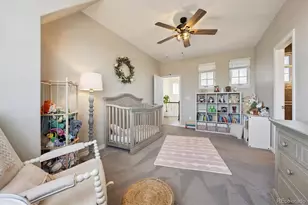 724 Imboden Rd, Watkins, CO 80137 - Photo 24