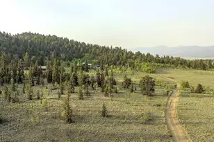 218 N Quarter Horse, Como, CO 80456 - Photo 34