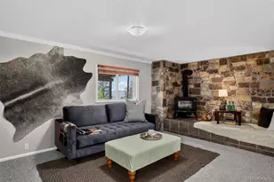 31307 Kings Valley W, Conifer, CO 80433 - Photo 4
