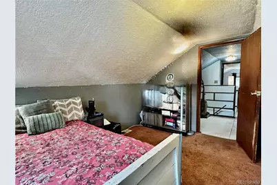 413 W 3rd Street, Leadville, CO 80461 - Photo 20