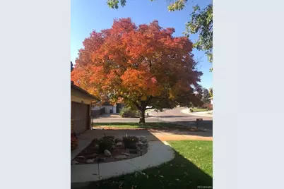 5750 W Fair Drive, Littleton, CO 80123 - Photo 30