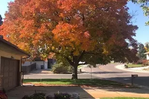 5750 W Fair Dr, Littleton, CO 80123 - Photo 30