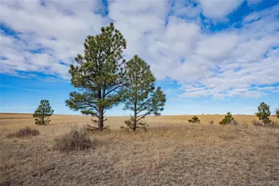 754 Highway 86, Elizabeth, CO 80107 - Photo 38