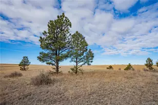 754 Hwy 86, Elizabeth, CO 80107 - Photo 38