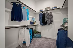 8990 Frolic Vw, Colorado Springs, CO 80924 - Photo 22