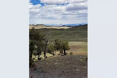 5250 Uxta Trail, Hartsel, CO 80449 - Photo 2