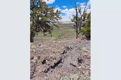 5250 Uxta Trail, Hartsel, CO 80449 - Photo 16