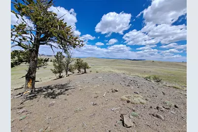 5250 Uxta Trail, Hartsel, CO 80449 - Photo 12