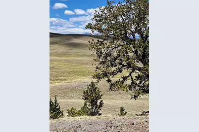 5250 Uxta Trail, Hartsel, CO 80449 - Photo 8