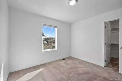 6234 Wild Rye Street, Loveland, CO 80538 - Photo 24