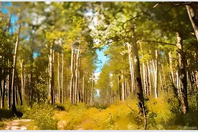 24870 Hwy 285, Fairplay, CO 80440 - Photo 8